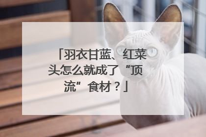 羽衣甘蓝、红菜头怎么就成了“顶流”食材？