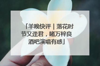 羊晚快评｜落花时节又逢君，睹万梓良酒吧演唱有感