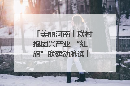 美丽河南丨联村抱团兴产业 “红旗”联建动脉通
