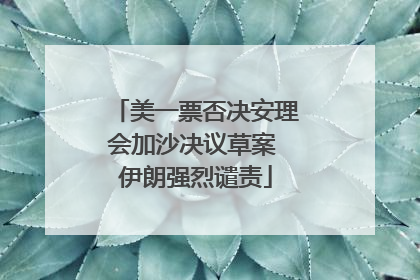 美一票否决安理会加沙决议草案 伊朗强烈谴责
