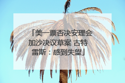 美一票否决安理会加沙决议草案 古特雷斯：感到失望
