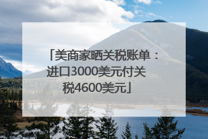 美商家晒关税账单：进口3000美元付关税4600美元