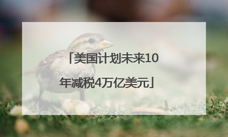 美国计划未来10年减税4万亿美元