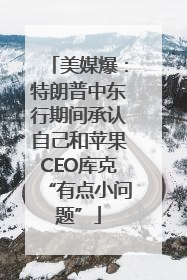 美媒爆：特朗普中东行期间承认自己和苹果CEO库克“有点小问题”