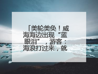 美轮美奂！威海海边出现“蓝眼泪”，游客：海浪打过来，就像星河一样