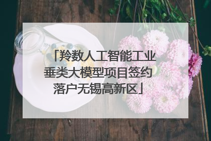 羚数人工智能工业垂类大模型项目签约落户无锡高新区