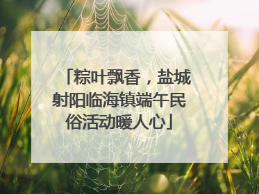 粽叶飘香，盐城射阳临海镇端午民俗活动暖人心