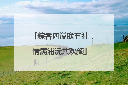 粽香四溢联五社，情满浦沅共欢颜