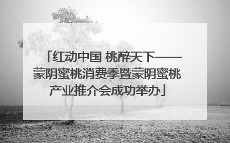 红动中国 桃醉天下——蒙阴蜜桃消费季暨蒙阴蜜桃产业推介会成功举办