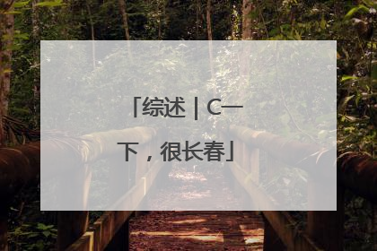 综述｜C一下，很长春