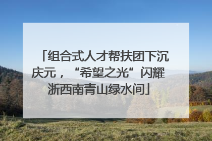 组合式人才帮扶团下沉庆元，“希望之光”闪耀浙西南青山绿水间