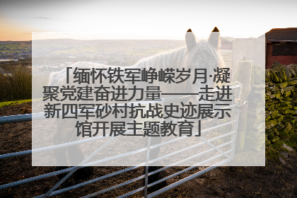 缅怀铁军峥嵘岁月·凝聚党建奋进力量——走进新四军砂村抗战史迹展示馆开展主题教育