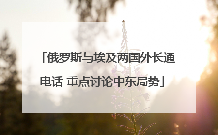 俄罗斯与埃及两国外长通电话 重点讨论中东局势
