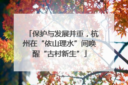 保护与发展并重，杭州在“依山理水”间唤醒“古村新生”
