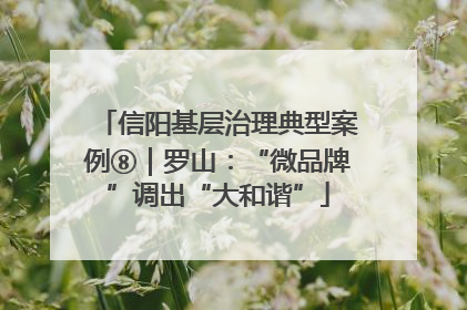 信阳基层治理典型案例⑧｜罗山：“微品牌”调出“大和谐”