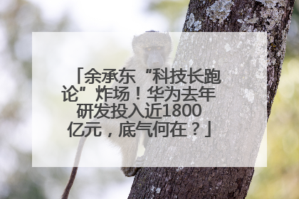余承东“科技长跑论”炸场！华为去年研发投入近1800亿元，底气何在？