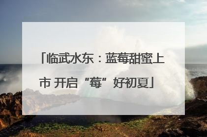 临武水东：蓝莓甜蜜上市 开启“莓”好初夏
