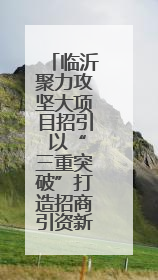 临沂聚力攻坚大项目招引 以“三重突破”打造招商引资新格局