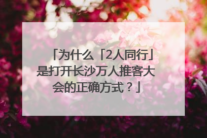 为什么「2人同行」是打开长沙万人推客大会的正确方式？