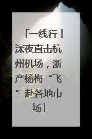 一线行丨深夜直击杭州机场，浙产杨梅“飞”赴各地市场