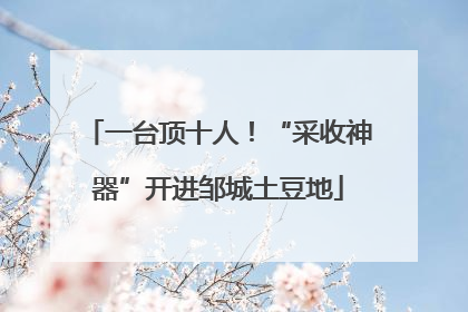 一台顶十人！“采收神器”开进邹城土豆地