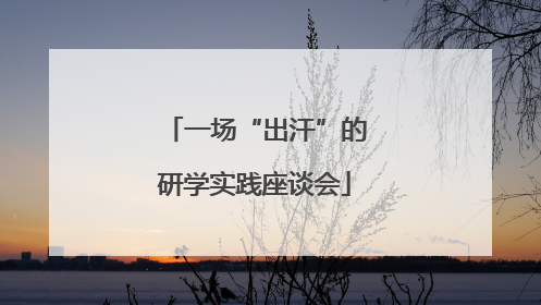 一场“出汗”的研学实践座谈会