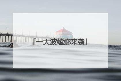 一大波螳螂来袭