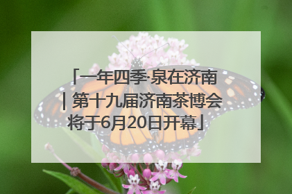 一年四季·泉在济南｜第十九届济南茶博会将于6月20日开幕