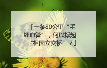 一条80公里“毛细血管”，何以撑起“祖国立交桥”？
