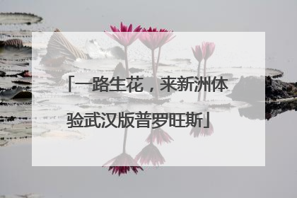一路生花，来新洲体验武汉版普罗旺斯