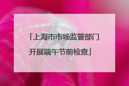 上海市市场监管部门开展端午节前检查