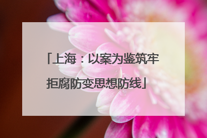 上海：以案为鉴筑牢拒腐防变思想防线