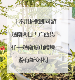 不用护照即可游越南两日！广西凭祥—越南谅山跨境游有新变化