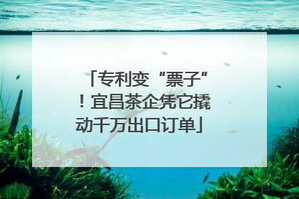 专利变“票子”！宜昌茶企凭它撬动千万出口订单