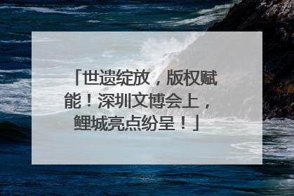 世遗绽放，版权赋能！深圳文博会上，鲤城亮点纷呈！