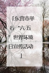 东营市举行“六·五”世界环境日宣传活动
