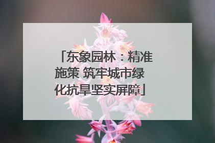 东象园林：精准施策 筑牢城市绿化抗旱坚实屏障