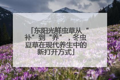 东阳光鲜虫草从“补”到“养”，冬虫夏草在现代养生中的新打开方式
