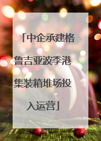 中企承建格鲁吉亚波季港集装箱堆场投入运营