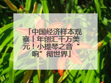 中国经济样本观察丨年创汇千万美元！小提琴之音“响”彻世界