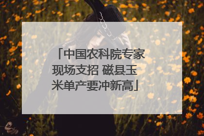 中国农科院专家现场支招 磁县玉米单产要冲新高