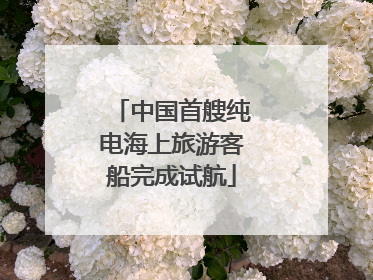 中国首艘纯电海上旅游客船完成试航
