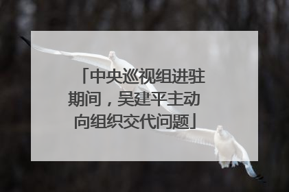 中央巡视组进驻期间，吴建平主动向组织交代问题