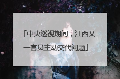 中央巡视期间，江西又一官员主动交代问题