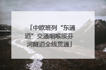 中欧班列“东通道”交通咽喉绥芬河隧道全线贯通