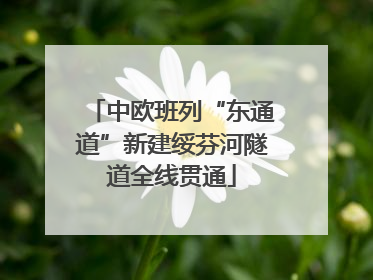 中欧班列“东通道”新建绥芬河隧道全线贯通