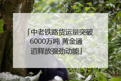 中老铁路货运量突破6000万吨 黄金通道释放强劲动能