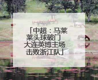 中超：马莱莱头球破门 大连英博主场击败浙江队