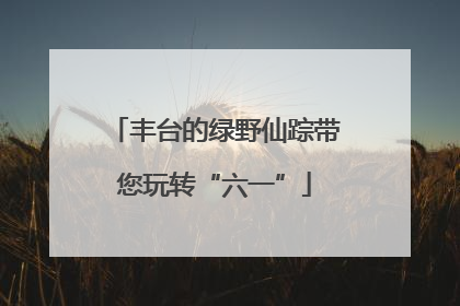 丰台的绿野仙踪带您玩转“六一”