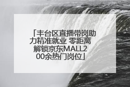 丰台区直播带岗助力精准就业 零距离解锁京东MALL200余热门岗位